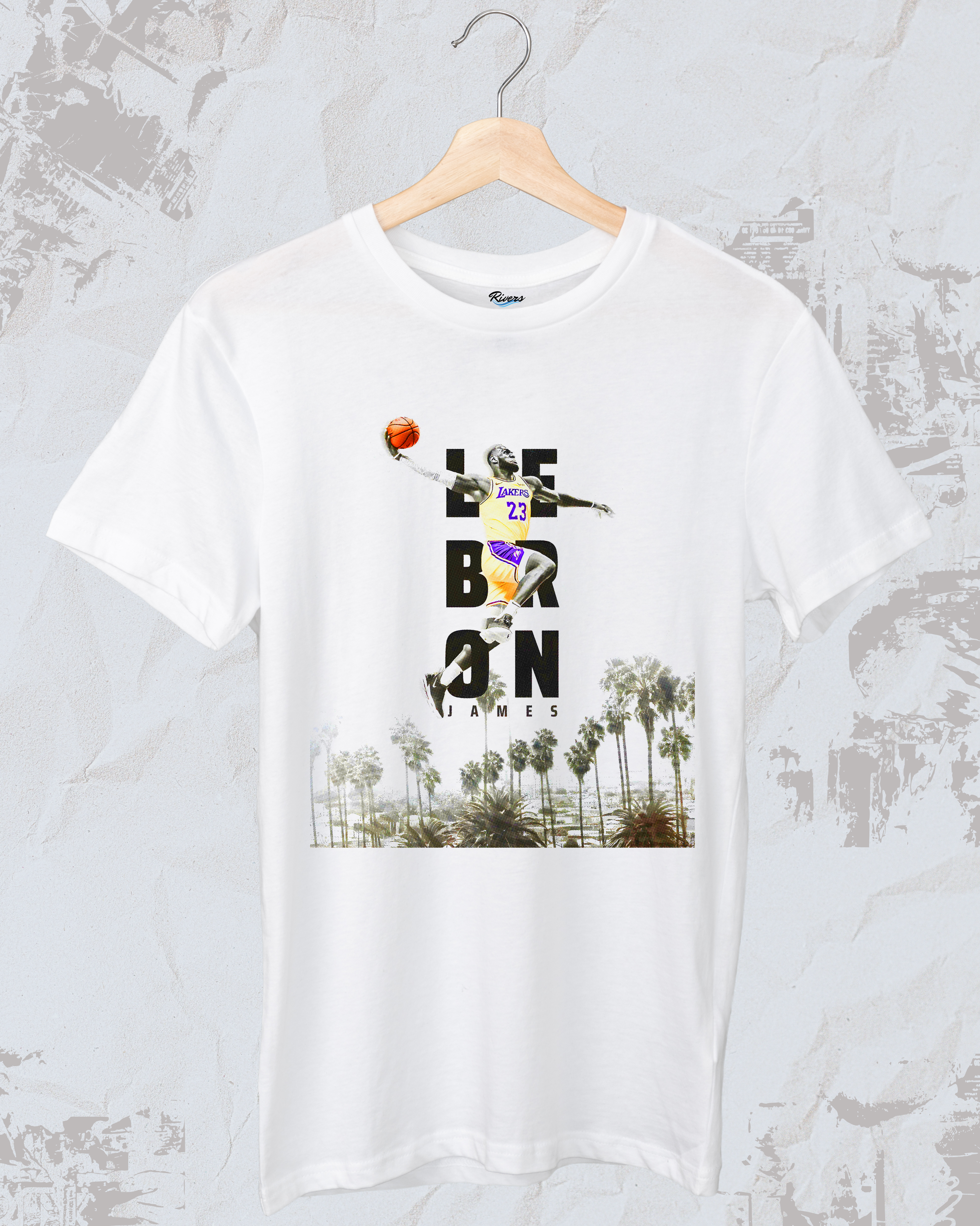 Lebron James dunk en Miami